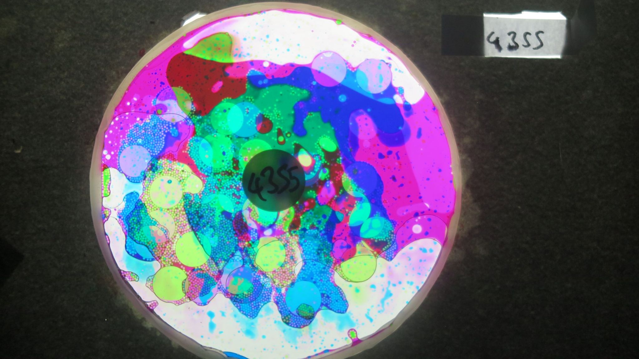 BV4355 bubble vision oil wheel